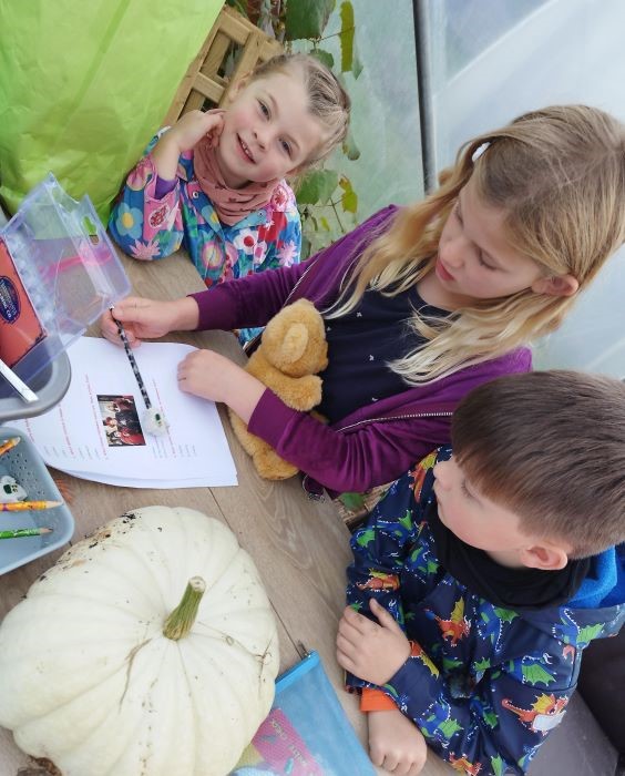 Pupil from St. Aidans NS Ballintrillick at the Pumpkin patch
